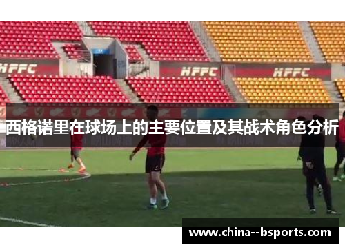 西格诺里在球场上的主要位置及其战术角色分析