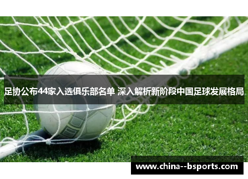 足协公布44家入选俱乐部名单 深入解析新阶段中国足球发展格局